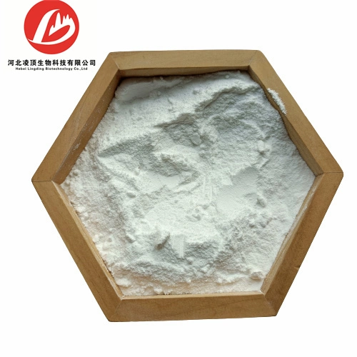 High Purity Quality Collagen Powder CAS 9064-67-9 The Best Price