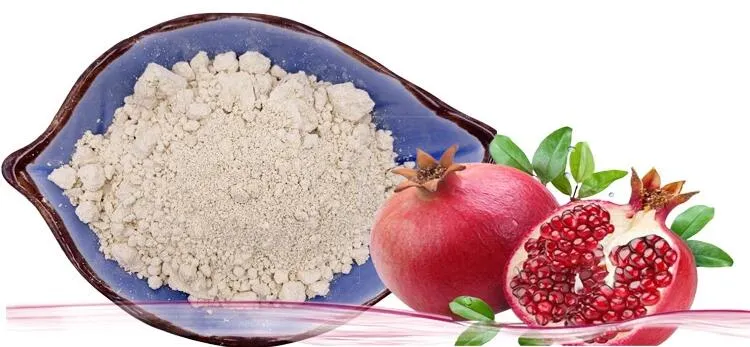 Powdered Pomegranate Extract Ellagic Acid 98% Natural Cosmetics Raw Materials