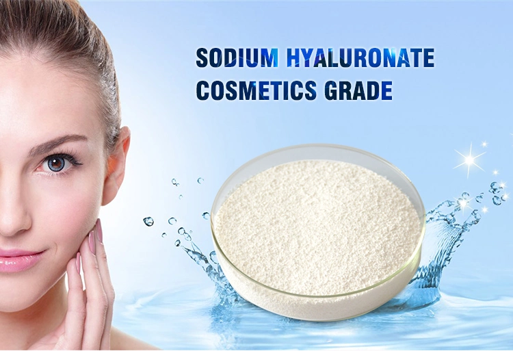 Sodium Hyaluronic Moisturizing Raw Material Ffective Anti Wrinkle for Facial Aging Skin
