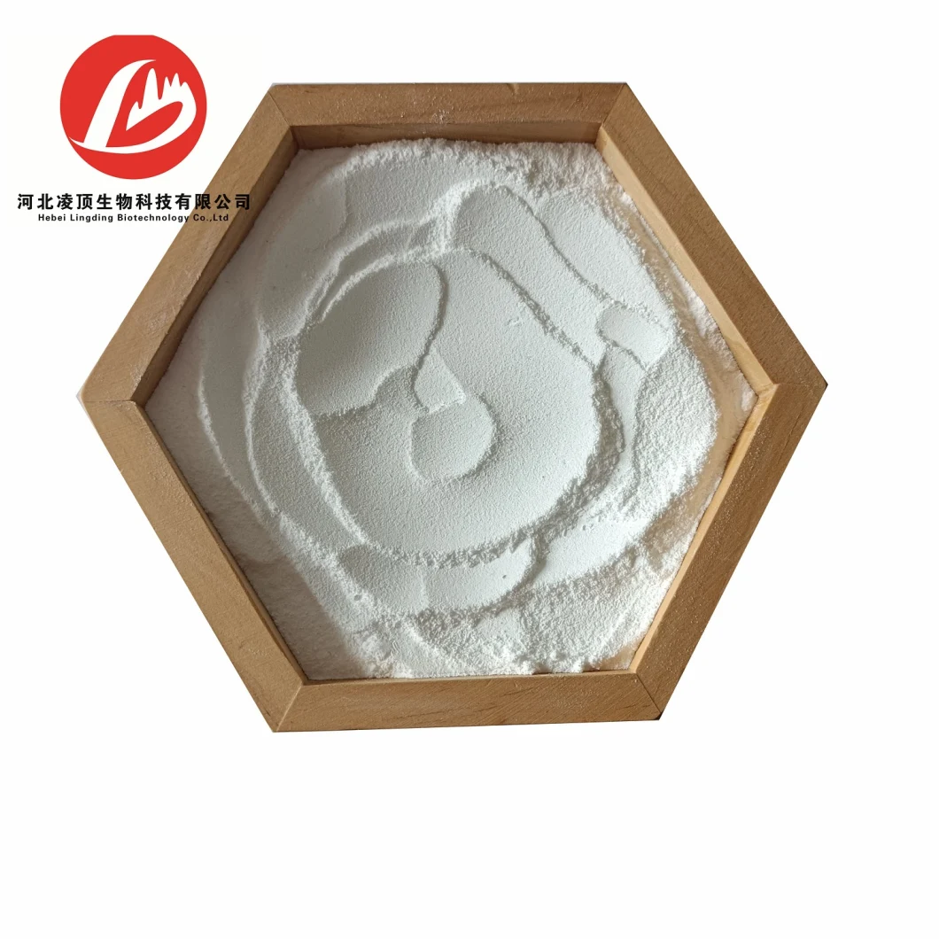 High Purity Quality Collagen Powder CAS 9064-67-9 The Best Price